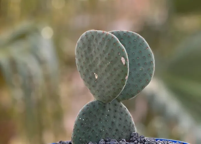 Casita Fuertencanto * Corralejo