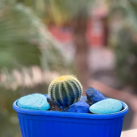 Casita Fuertencanto Appartement Corralejo